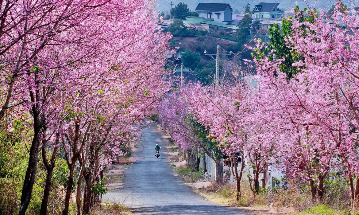 HÀNH TRÌNH QUẢNG BÌNH – ĐÀ LẠT – NHA TRANG