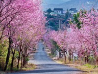 HÀNH TRÌNH QUẢNG BÌNH – ĐÀ LẠT – NHA TRANG